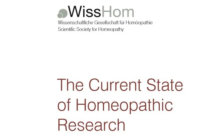 Description of Image