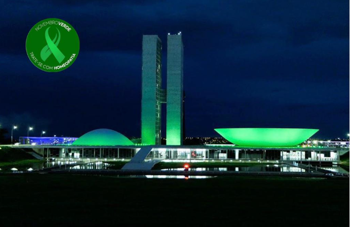 The Brazilian National Congress